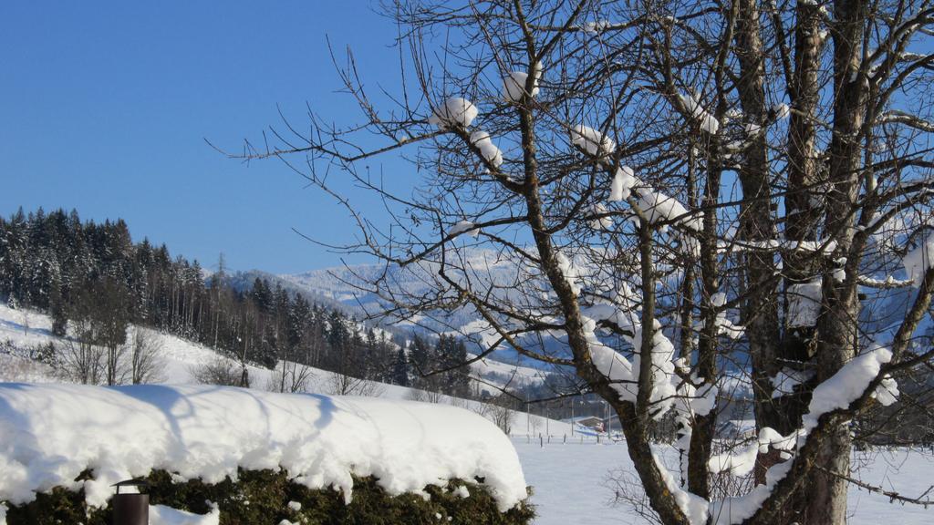 Ramseiderhof Apartamento Saalfelden Exterior foto